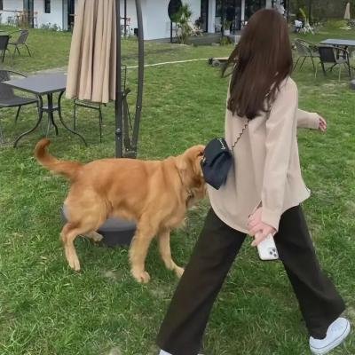 夺命高楼